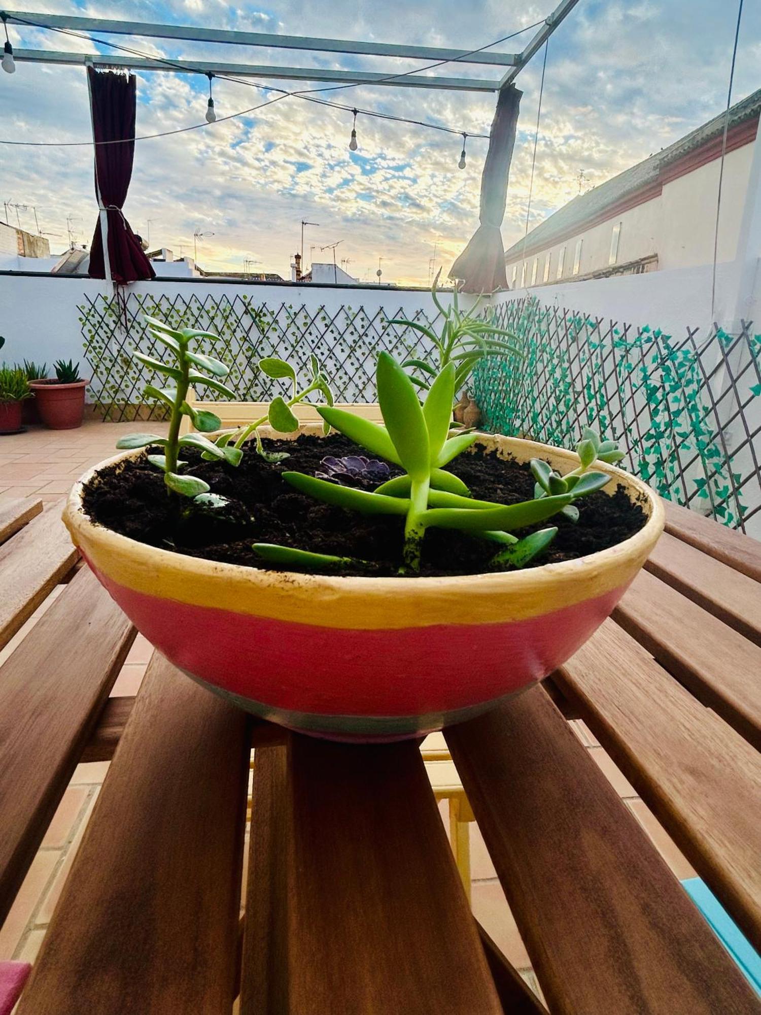세비야 La Azotea Del Sol 아파트 외부 사진